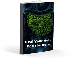 Heal Your Gut, End The Burn”