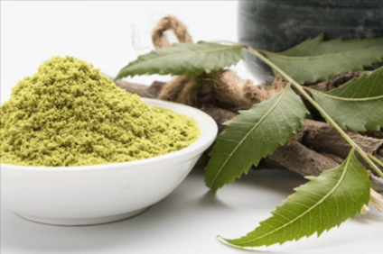 Neem Leaves Powder
